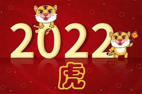 2023年什么年